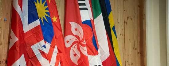 Global Alliance of medical Excellence flags