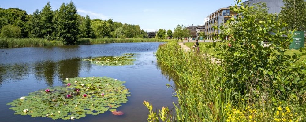 jubilee campus lake