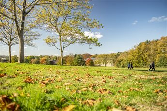 The-Downs_P9405