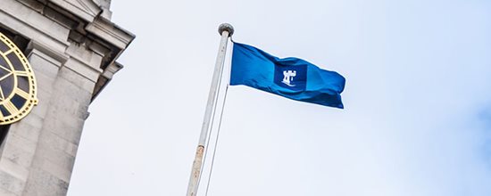 University flag