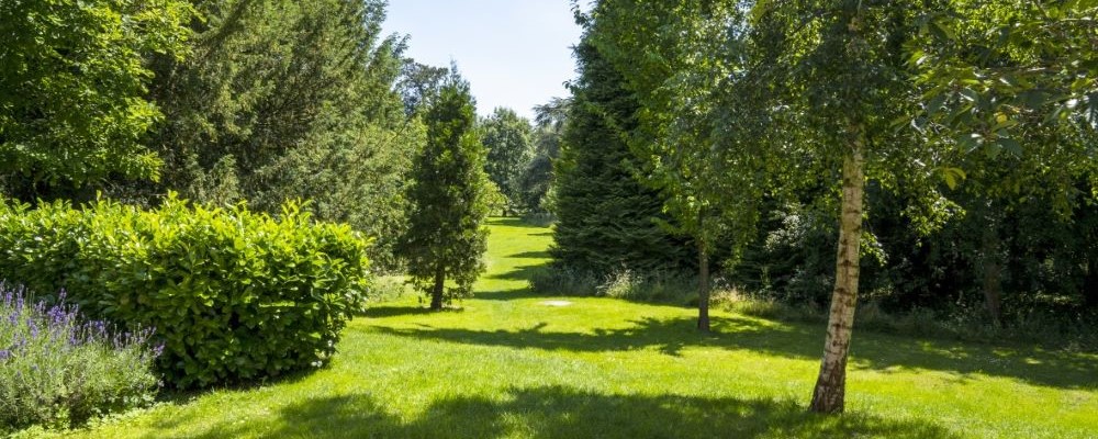 university park campus landscape